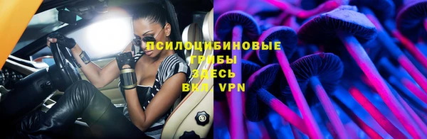 ПСИЛОЦИБИНОВЫЕ ГРИБЫ Балахна