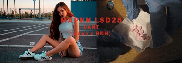 ПСИЛОЦИБИНОВЫЕ ГРИБЫ Балахна