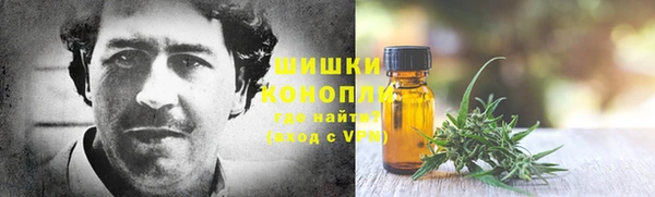 ПСИЛОЦИБИНОВЫЕ ГРИБЫ Балахна
