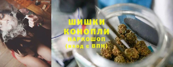 ПСИЛОЦИБИНОВЫЕ ГРИБЫ Балахна