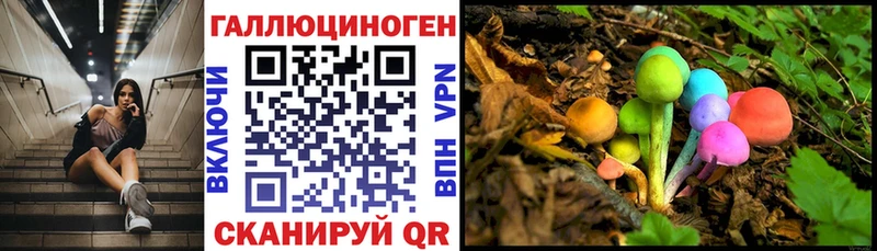 Псилоцибиновые грибы прущие грибы  Фатеж 
